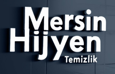 Mersin Yenişehir Koltuk Yıkama